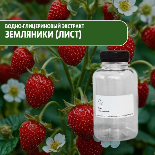 СО2 водно-глицериновый экстракт листа земляники