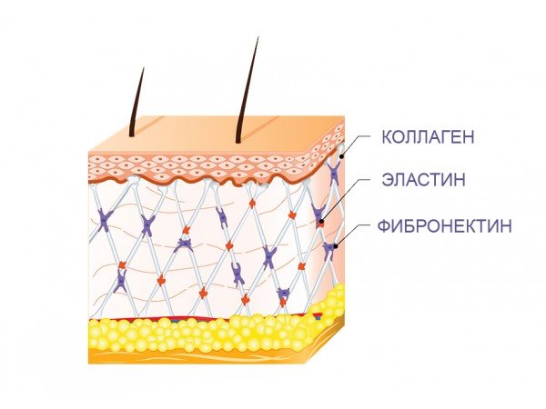 Эластин Ультра  