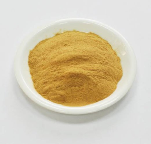 Экстракт корня Имбиря сухой  